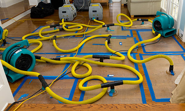 Professional Structural Drying And Dehumidification technician working in Columbia, CA